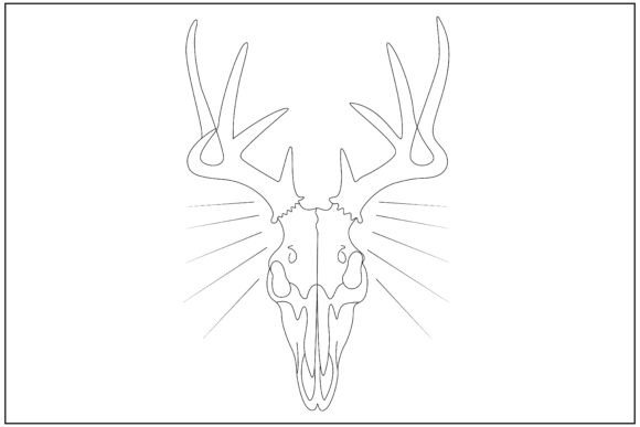 Western Desert Skull Line Art